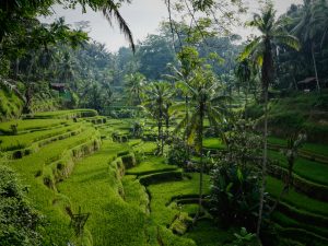 Bali Escape | June 2027